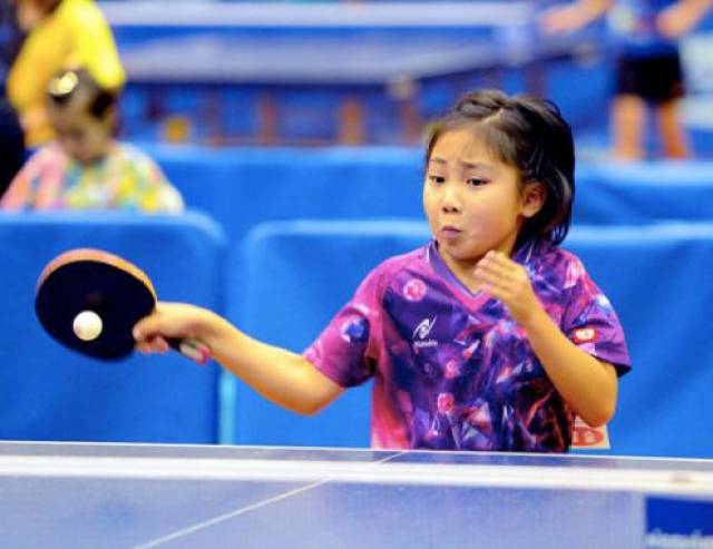 手庞清和佟 手庞清和佟