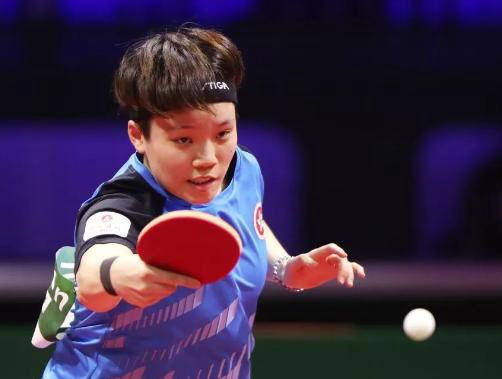 本届法网不 本届法网不